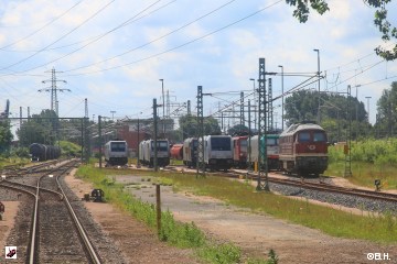 fhh-vt442-06-2