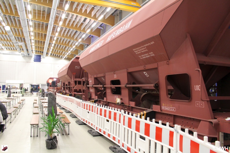 Fcs-Wag - 16