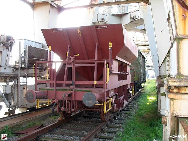Ed-Wg81 - 11