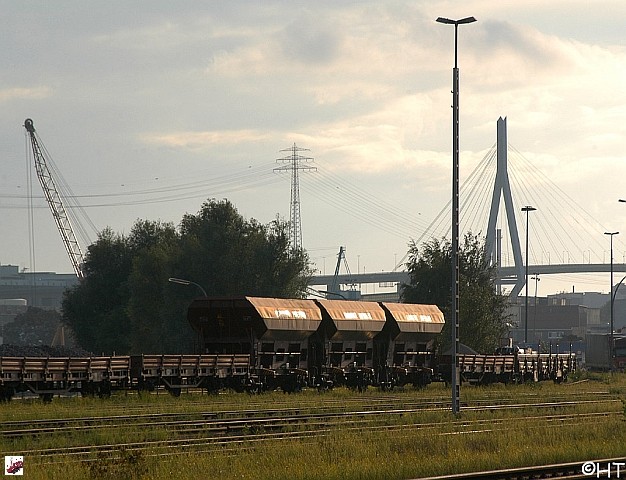Fcs-Wag - 9