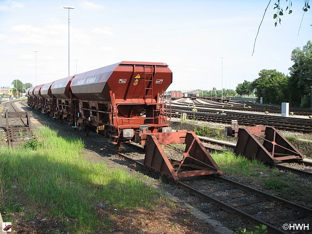 Fcs-Wag - 7