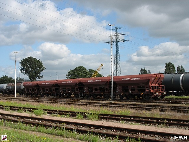 Fcs-Wag - 10