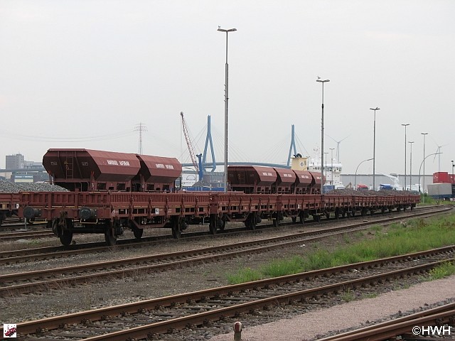 Fcs-Wag - 11