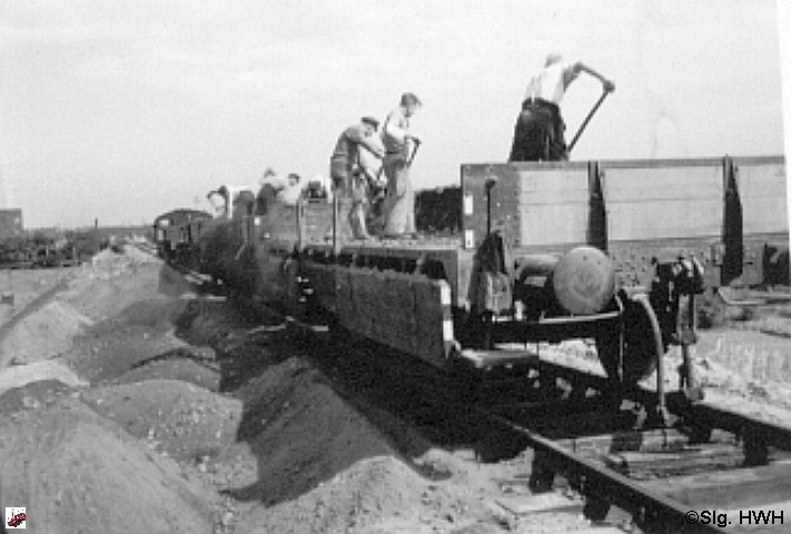X-Wg-alt50 -1